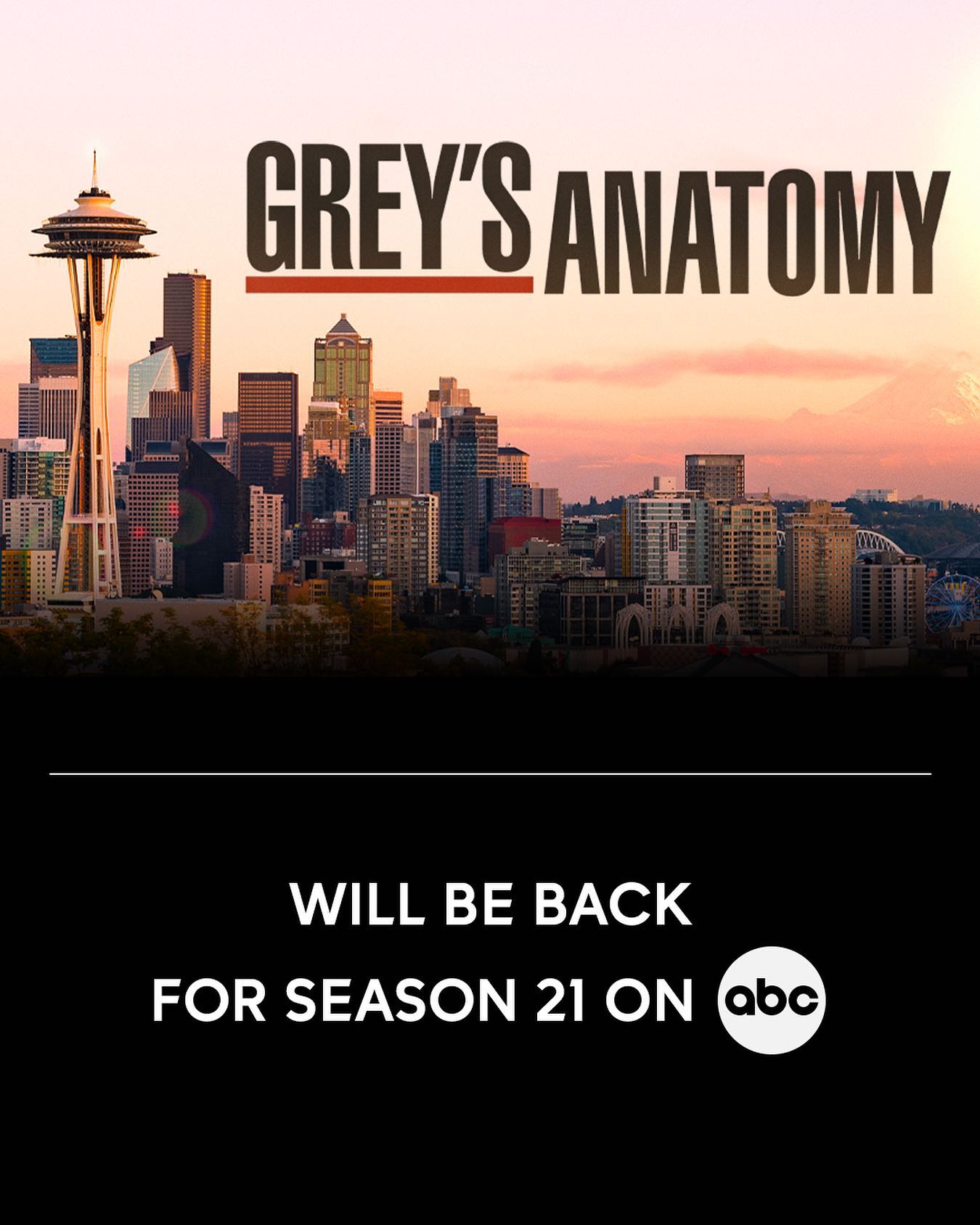 Анатомия страсти 21 сезон постер