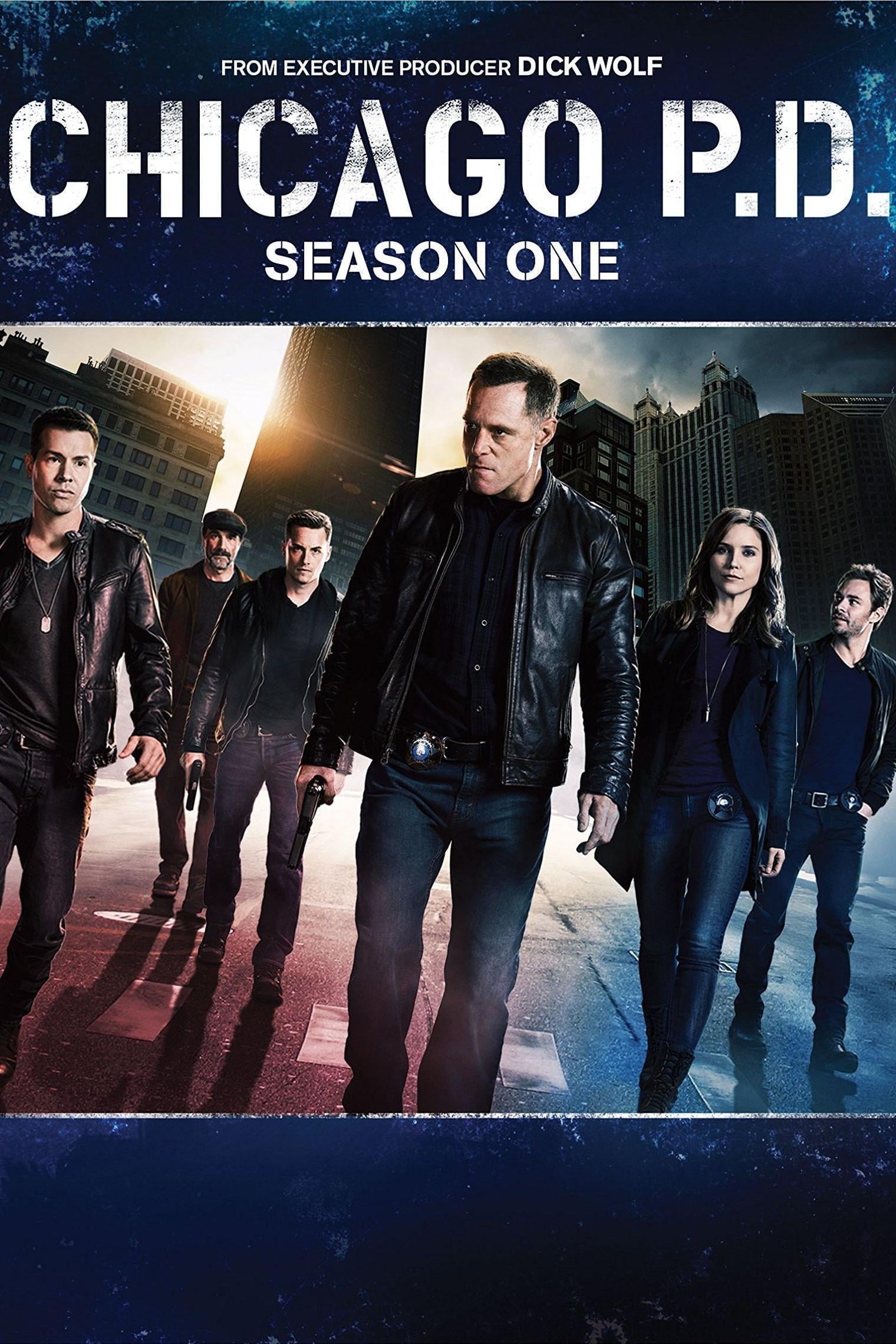 Полиция Чикаго 1 сезон